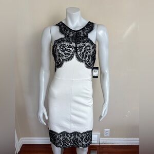 NWT - Guess - Macadamia fitted Dress. Ivory with black lace.